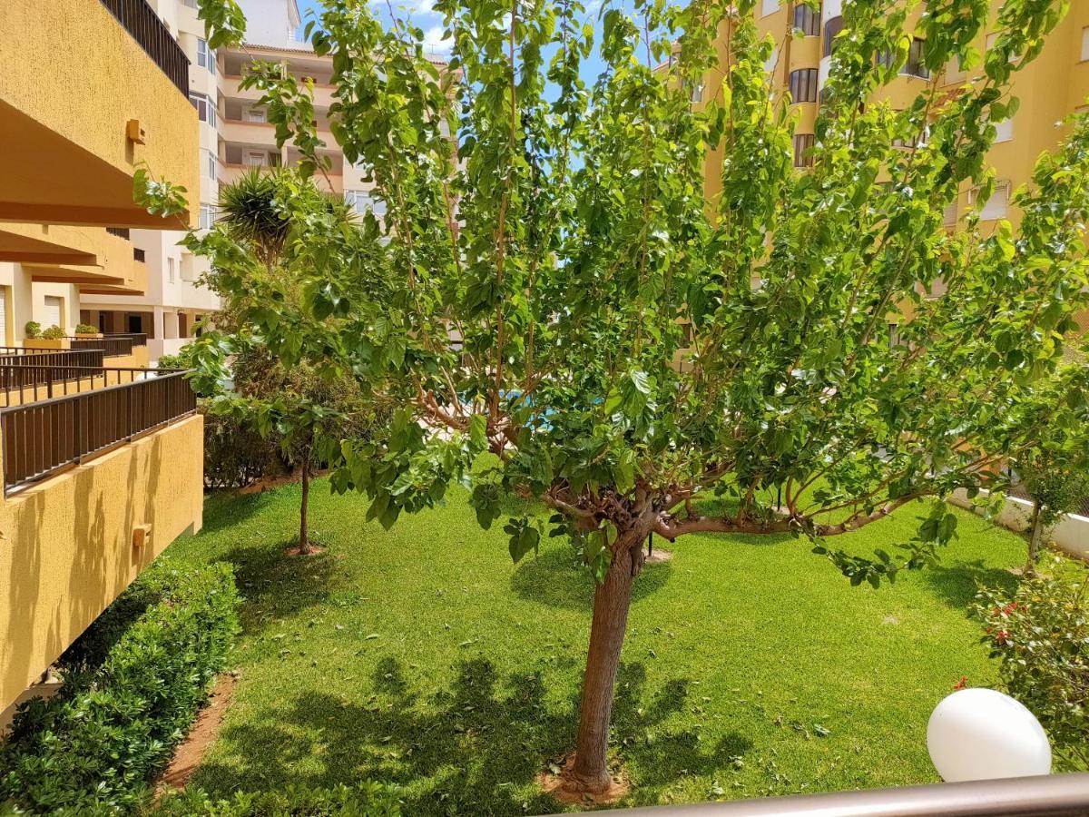 Tamaris Playa Solo Familias Serviplaya Playa De Xeraco Zewnętrze zdjęcie